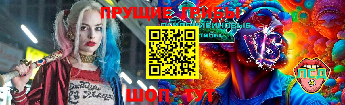 Галлюциногенные грибы MAGIC MUSHROOMS Торжок